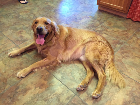 Rimrock Adventures-弗鲁塔必去景点