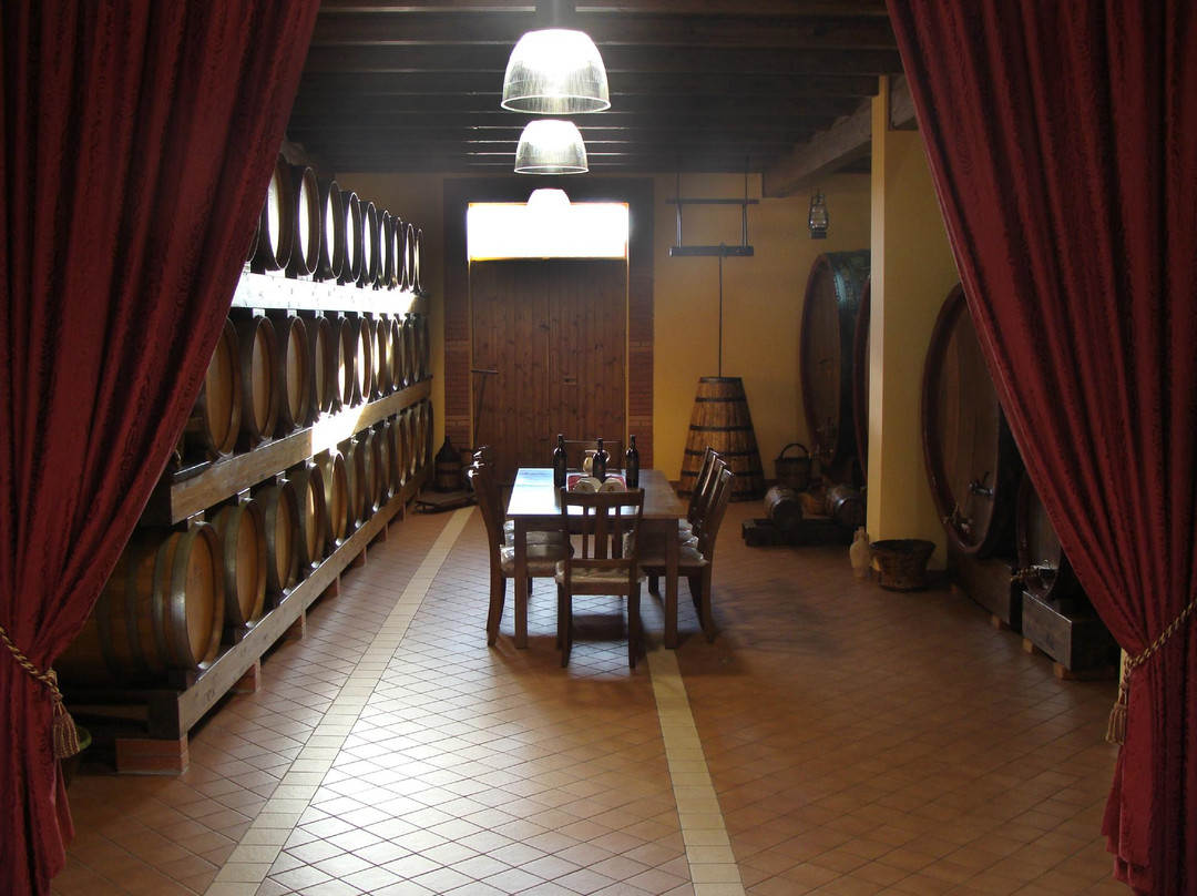Zafferana Etnea旅游景点-Azienda Agricola Puglisi