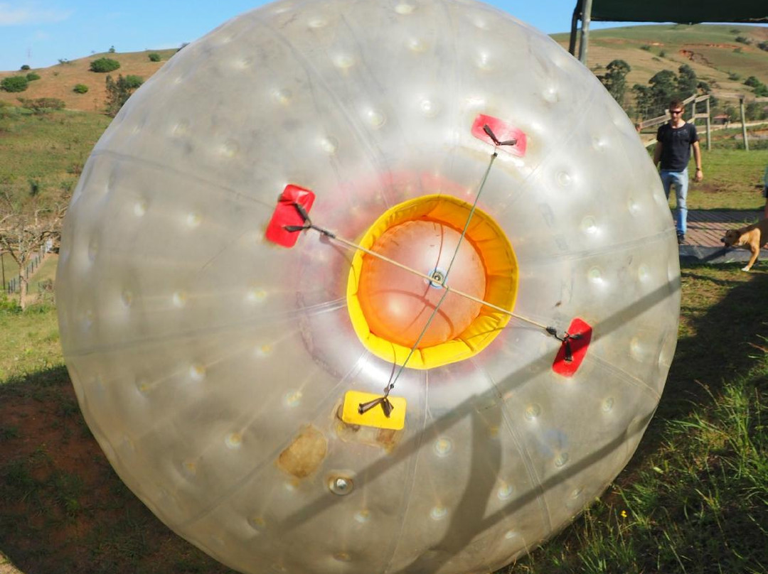 Groovy Balls-Hillcrest必去景点