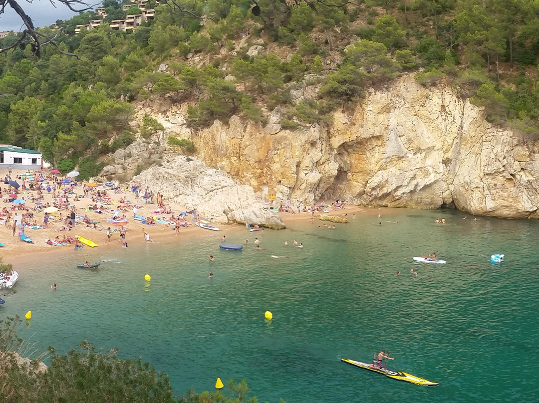 Cala Pola景点图片