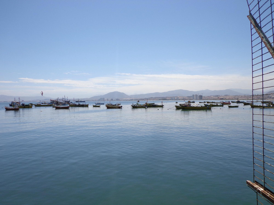 Feria Abasto La Costanera de Coquimbo S.A-Coquimbo必去景点