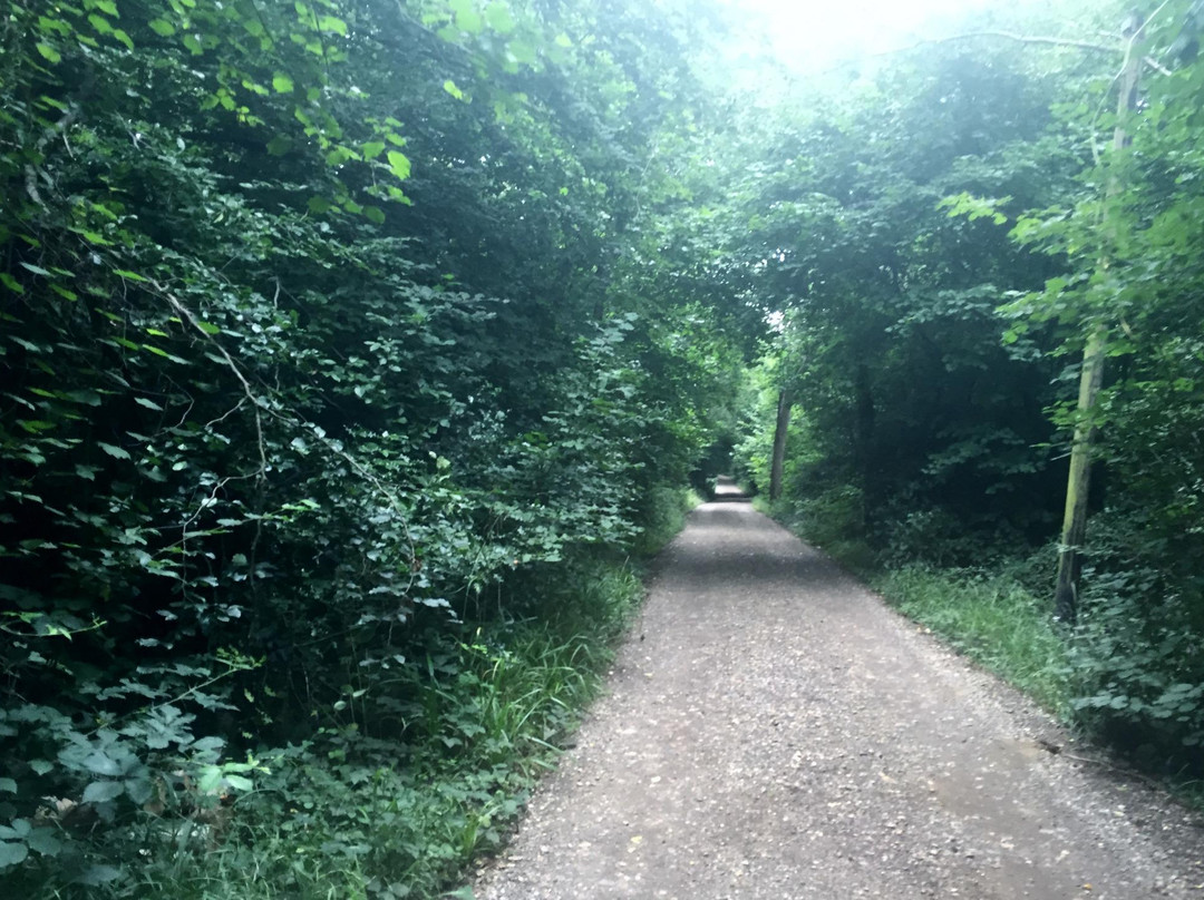 Great Bookham Common景点图片