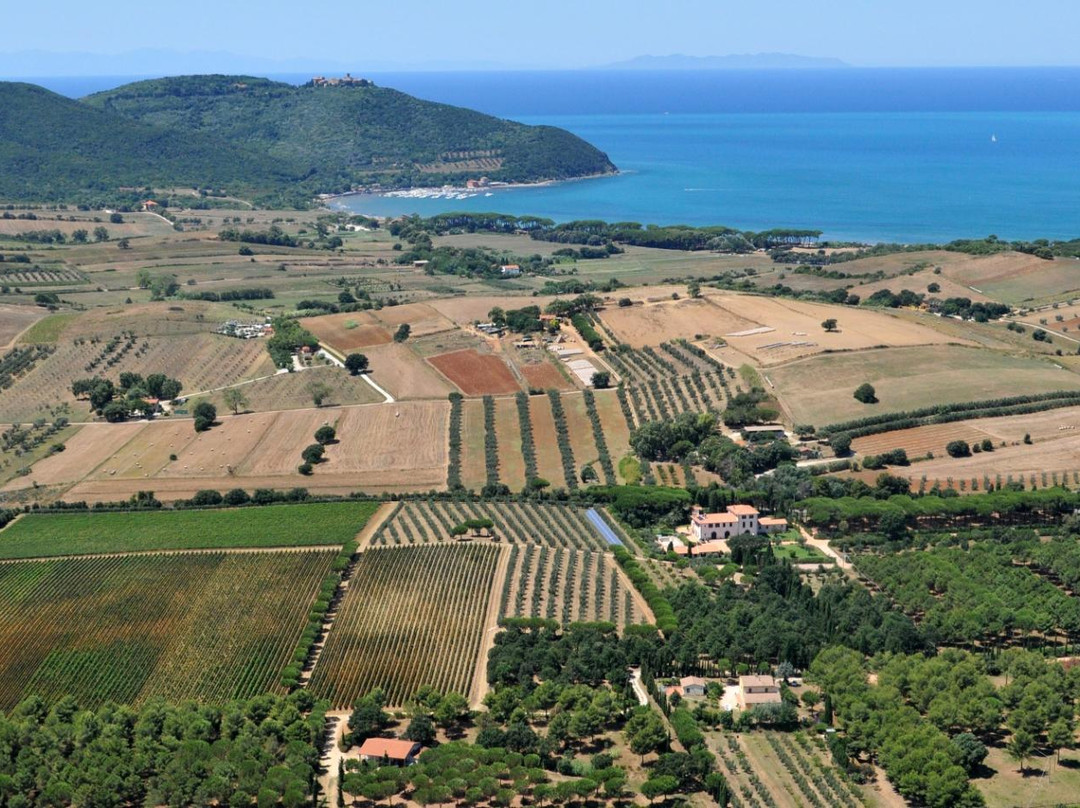 Tenuta Poggio Rosso景点图片