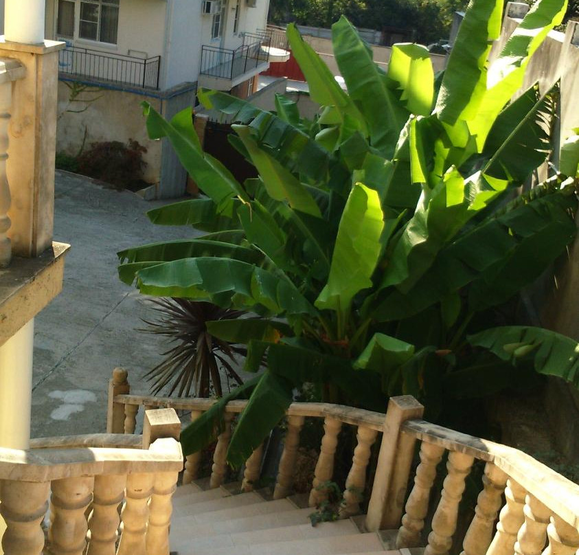 Margarita Guest House主图