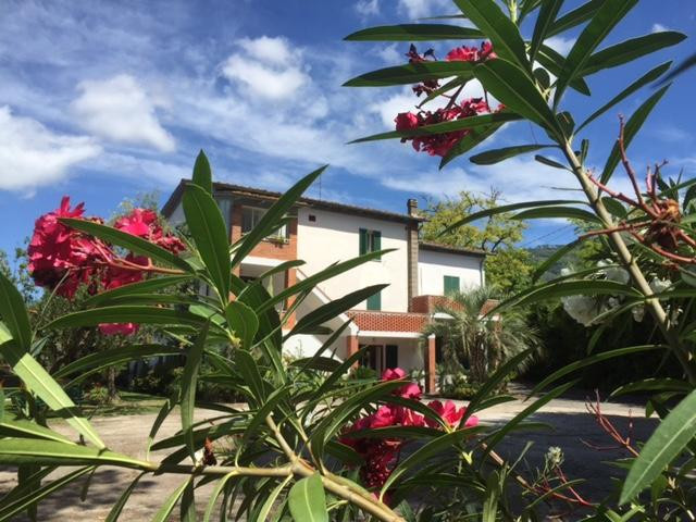 达皮奥住宿加早餐旅馆