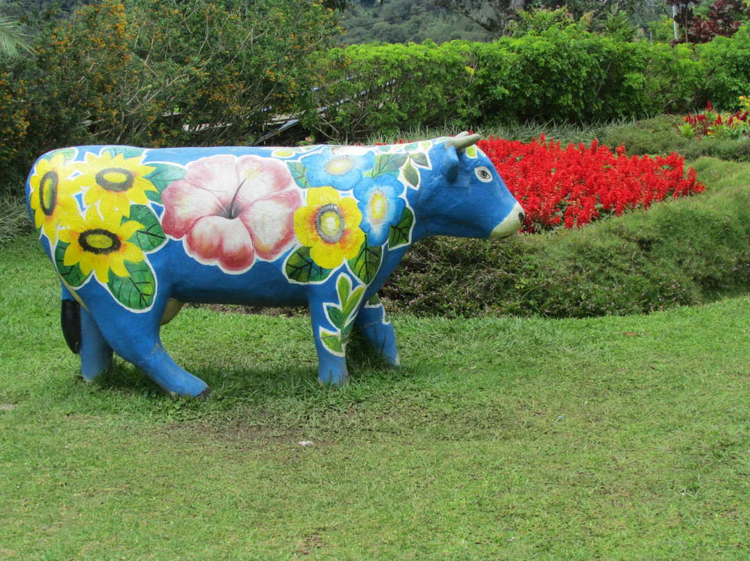 Mi Jardin景点图片
