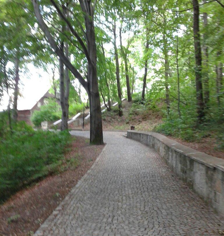 Jan III Sobieski Park景点图片