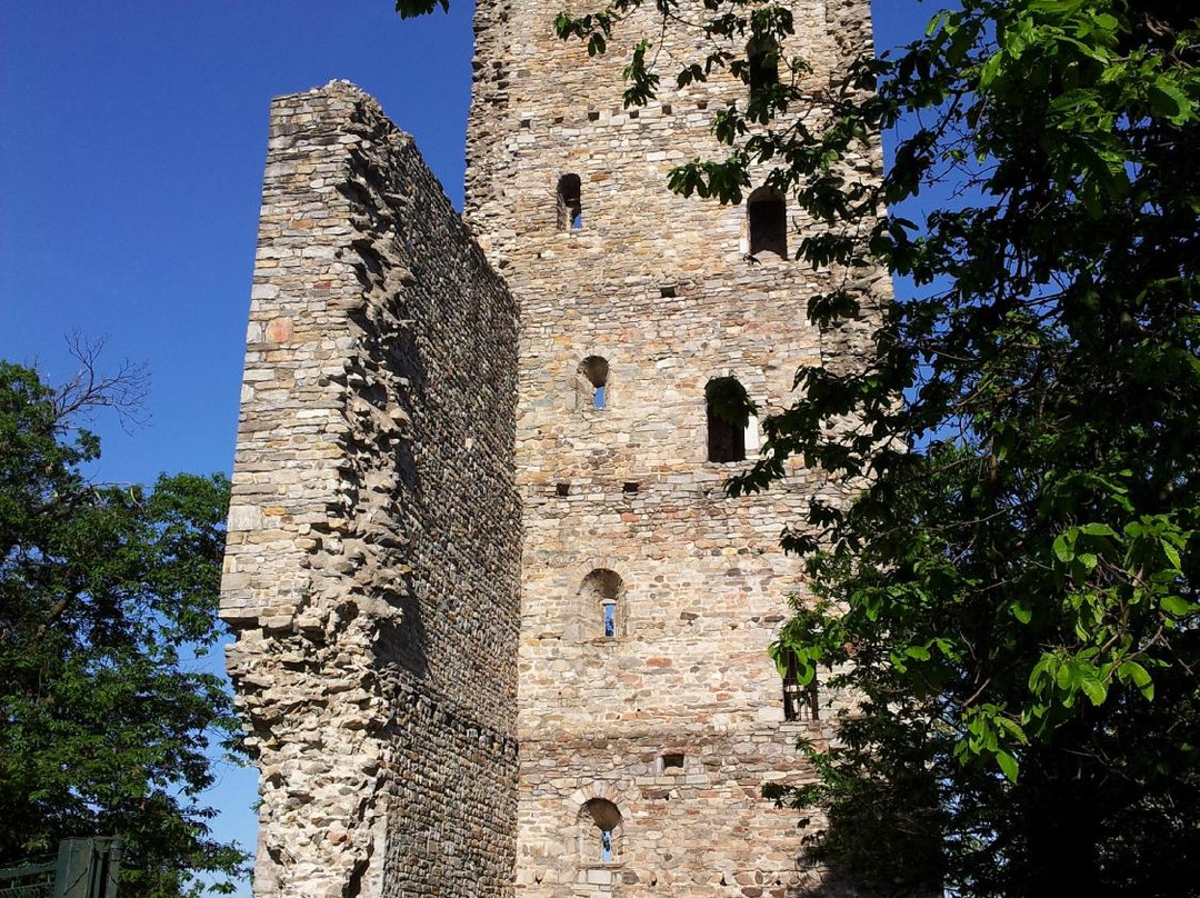 Torre di Velate景点图片