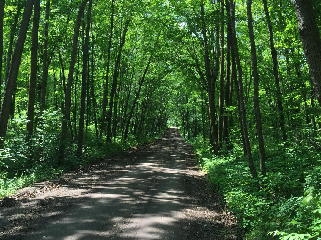 Tamarac National Wildlife Refuge-Rochert必去景点