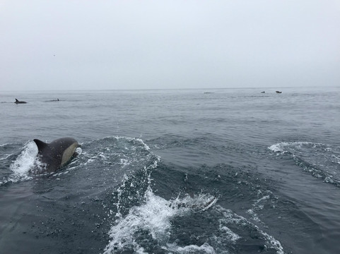 Malibu Coastal Adventures-马里布必去景点