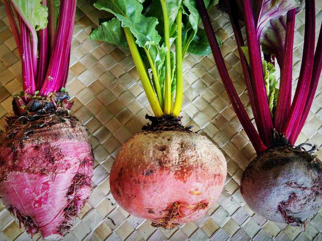 The Locavore Store-希洛必去景点