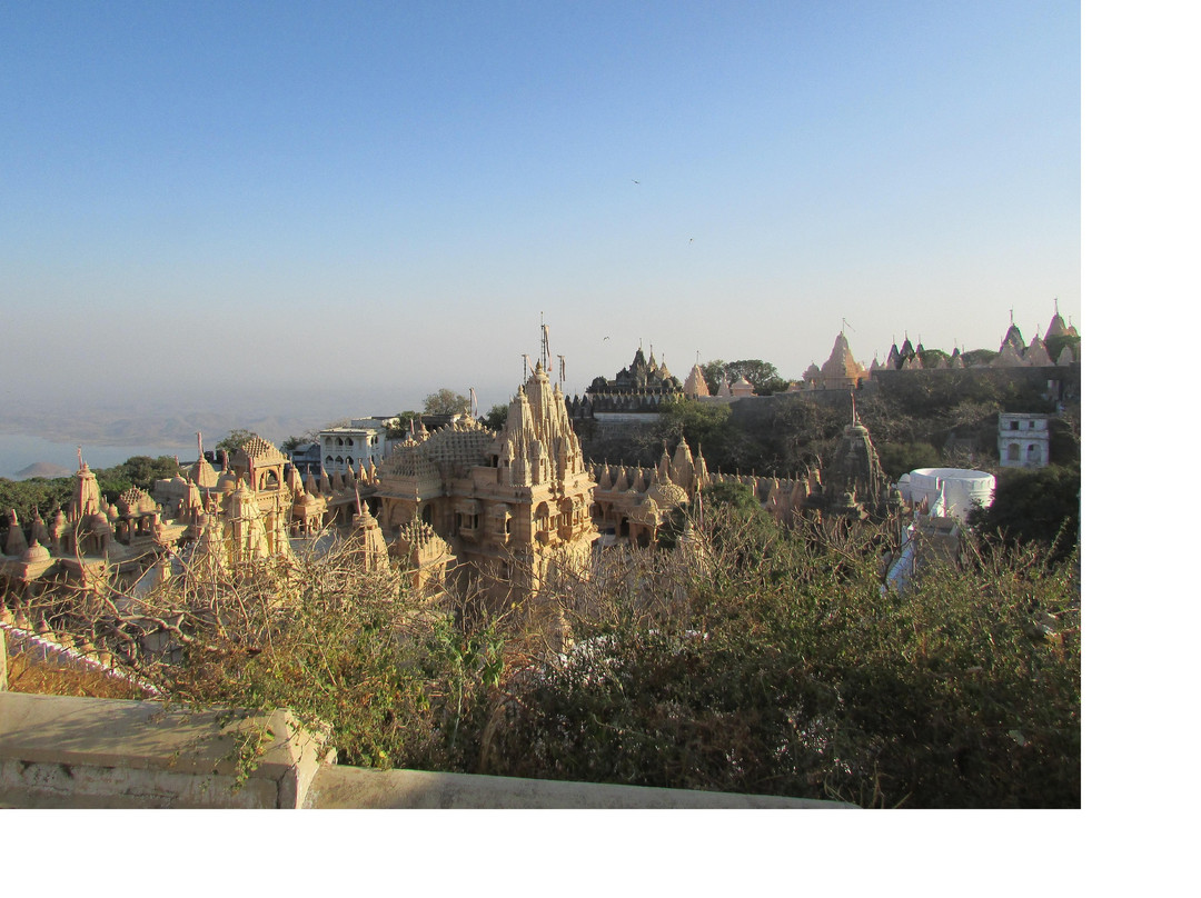 Vimalshah Temple景点图片