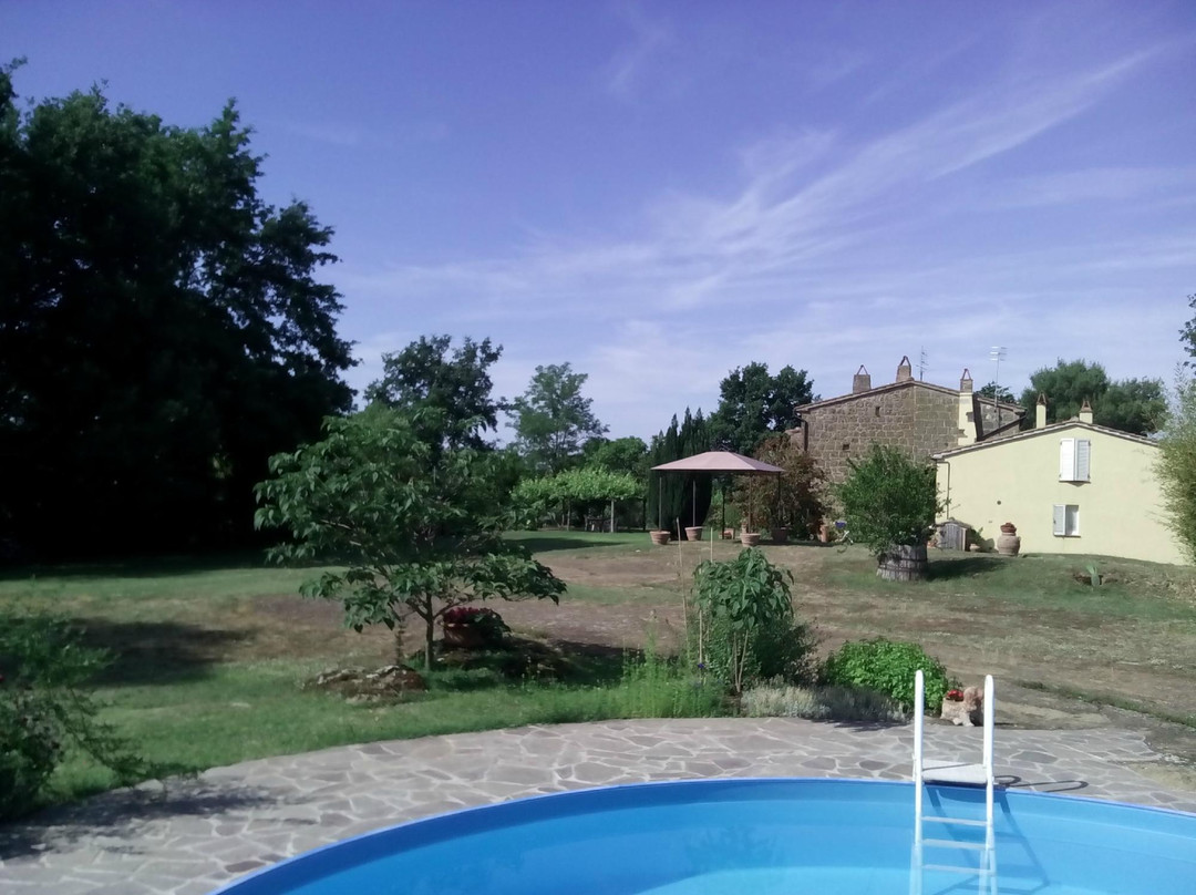 Poggio Dell'Olivo