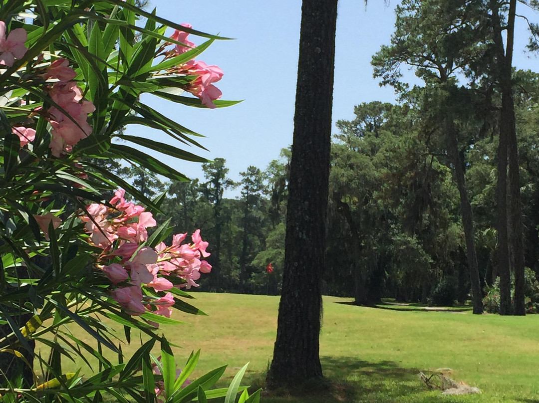 Jekyll Island Golf Club-吉柯岛必去景点