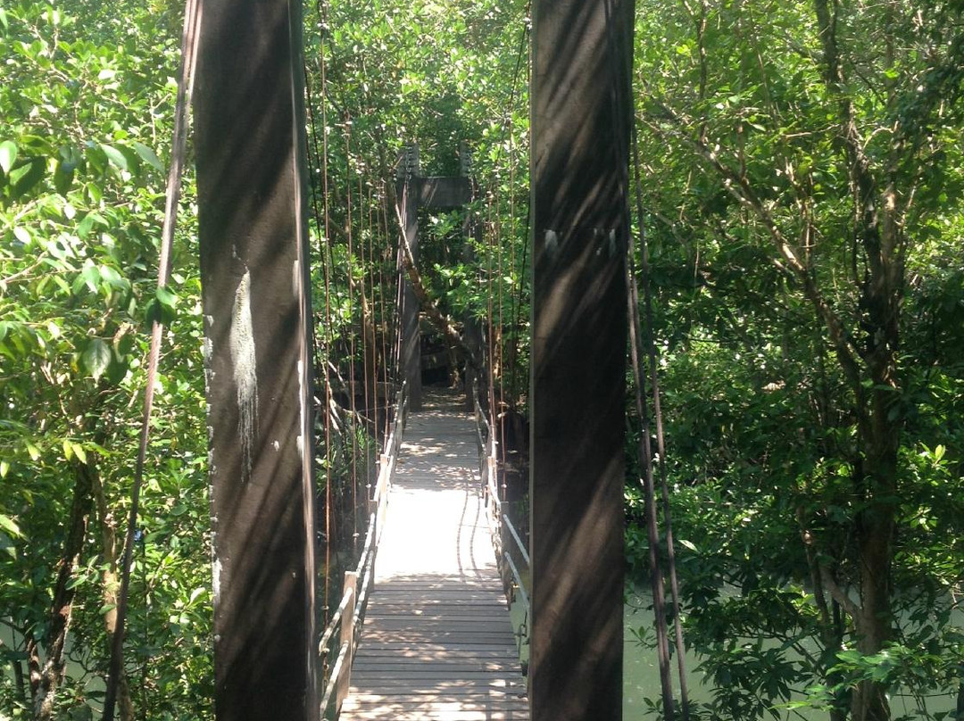 Khao Rearub-阁骨岛必去景点