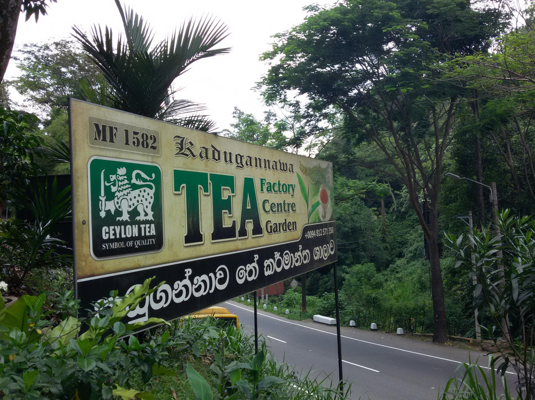 Kadugannawa Tea Factory景点图片