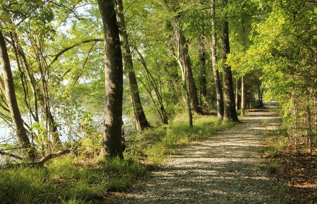 Bogue Chitto National Wildlife Refuge景点图片