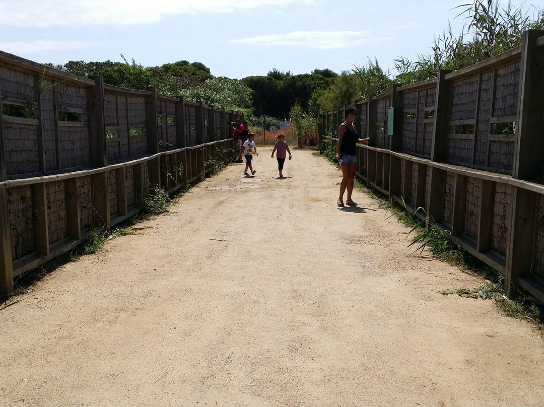 El Remolar-Filipines-比拉德坎斯必去景点