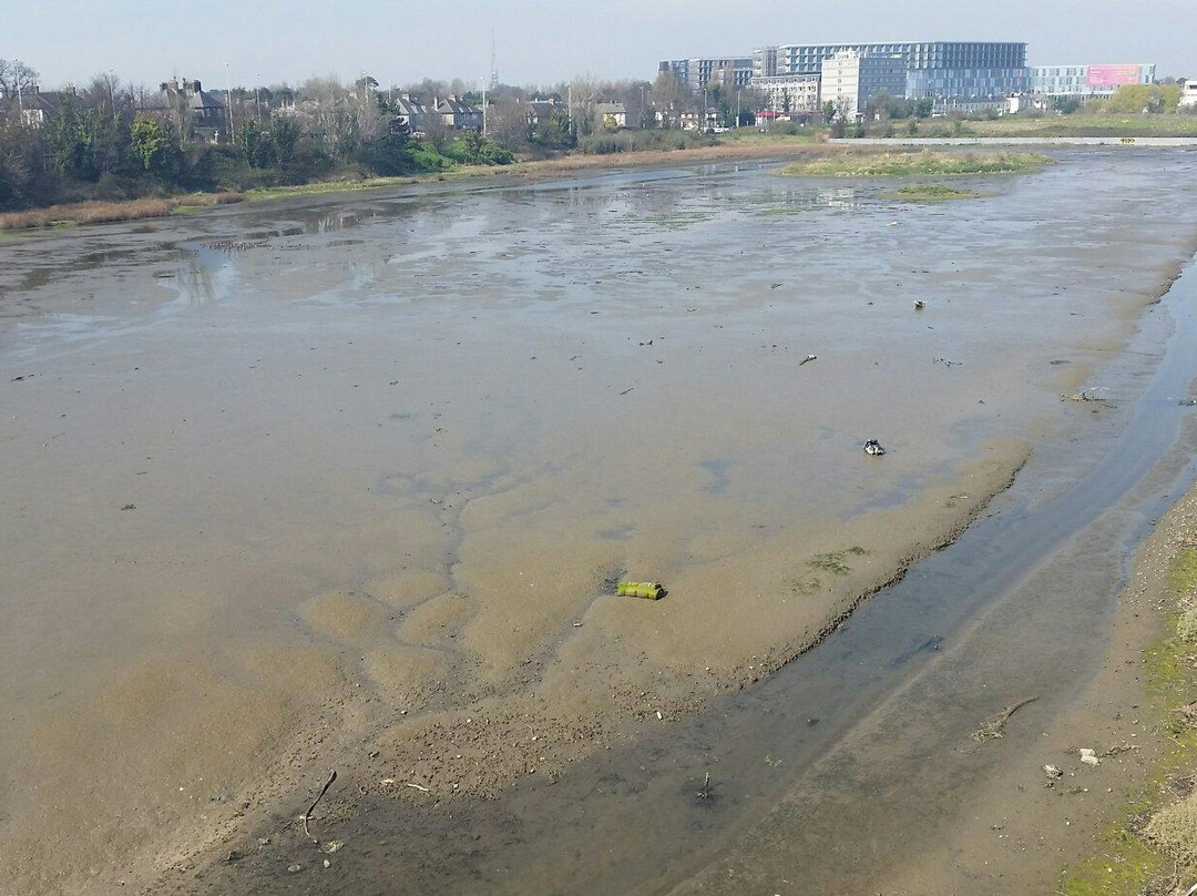 Booterstown Bird Sanctuary-都柏林必去景点