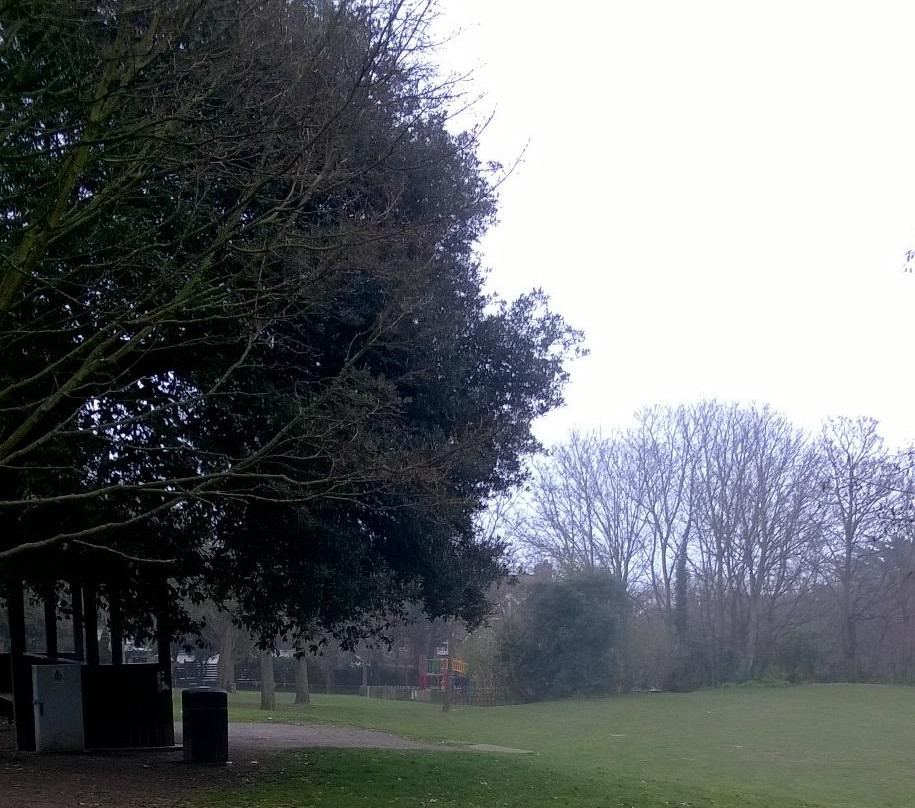 Pierremont Park景点图片