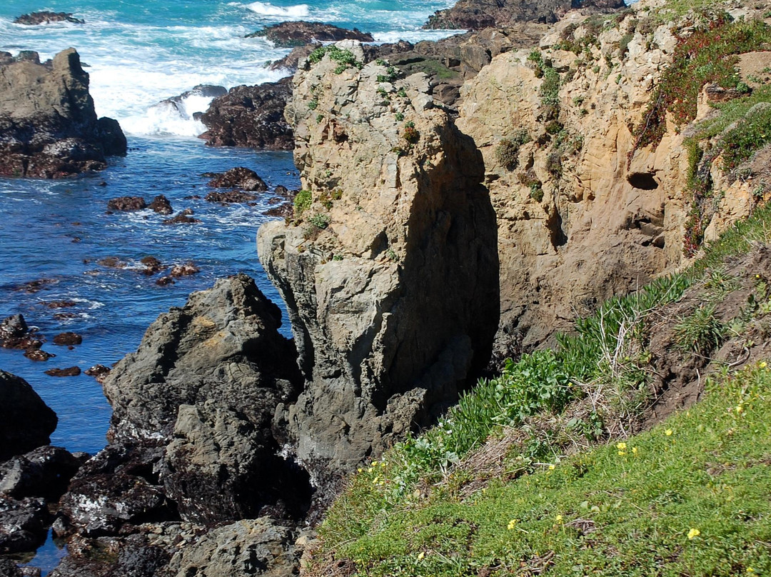 Noyo Headlands Park景点图片