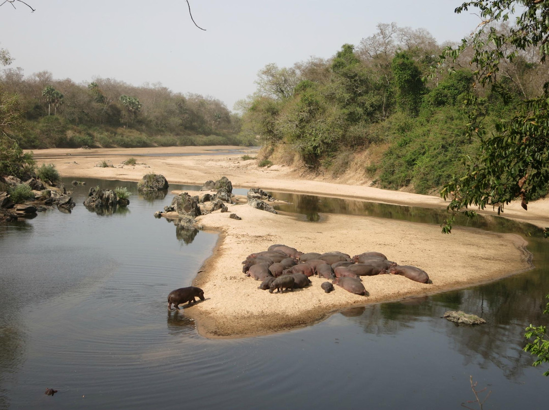 Benoue National Park-Ngaoundere必去景点