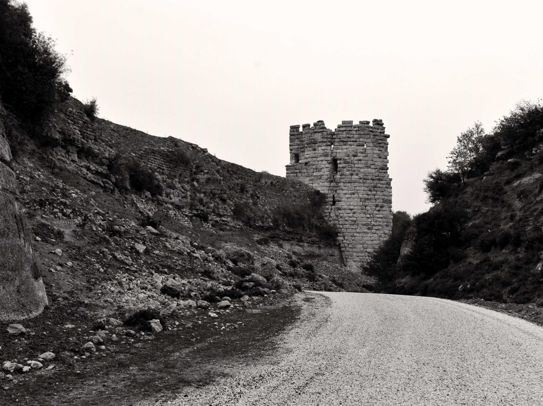 Koz Castle景点图片