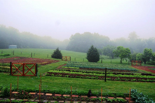 Lee's Healthy Cooking Classes-教堂山必去景点