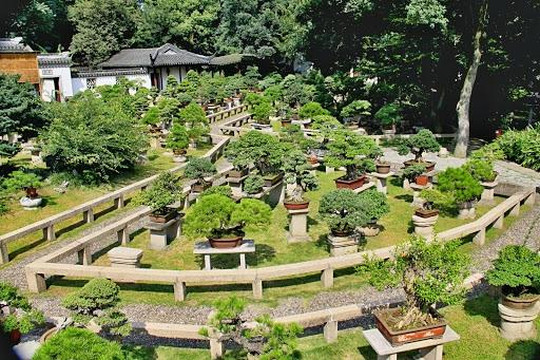 西园寺-苏州市必去景点