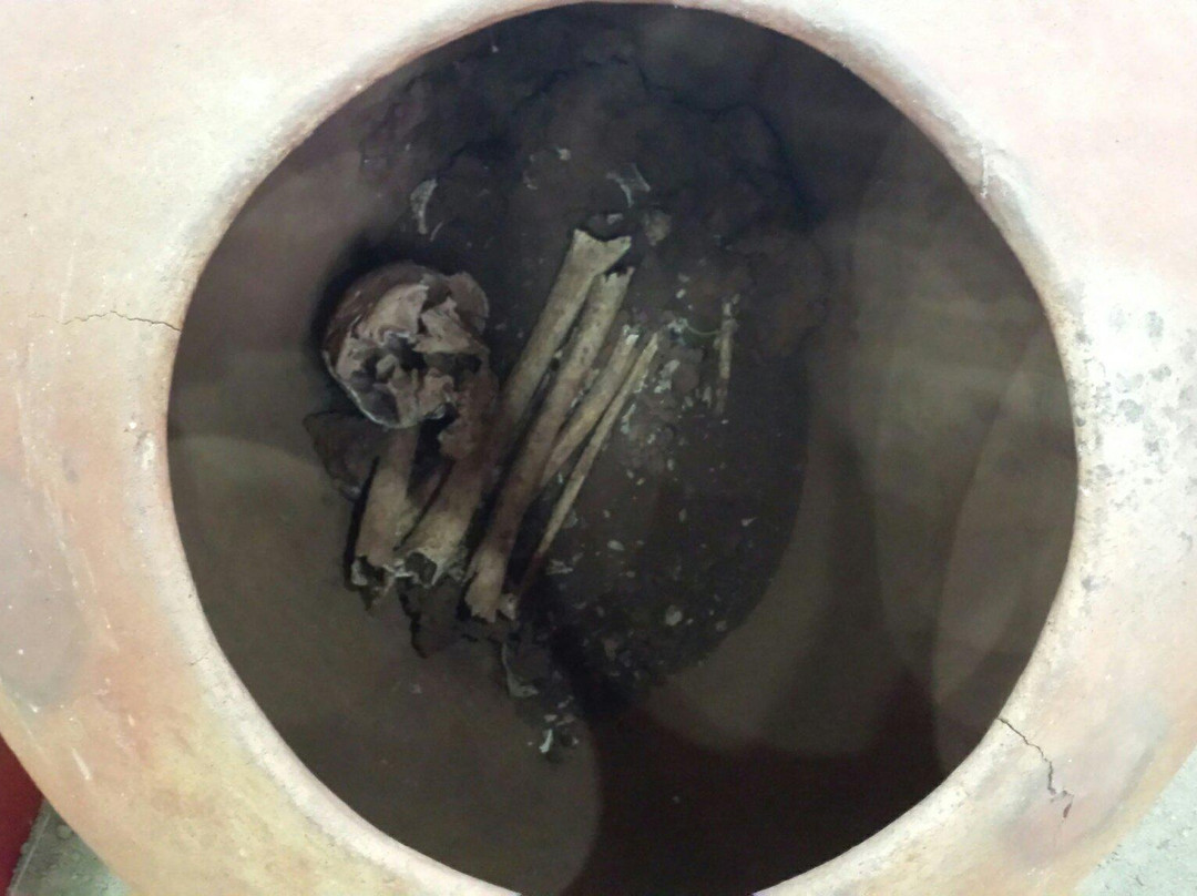 Indigena Antonio Adauto Leite Museum of Archaeology-Carmo Do Rio Claro必去景点