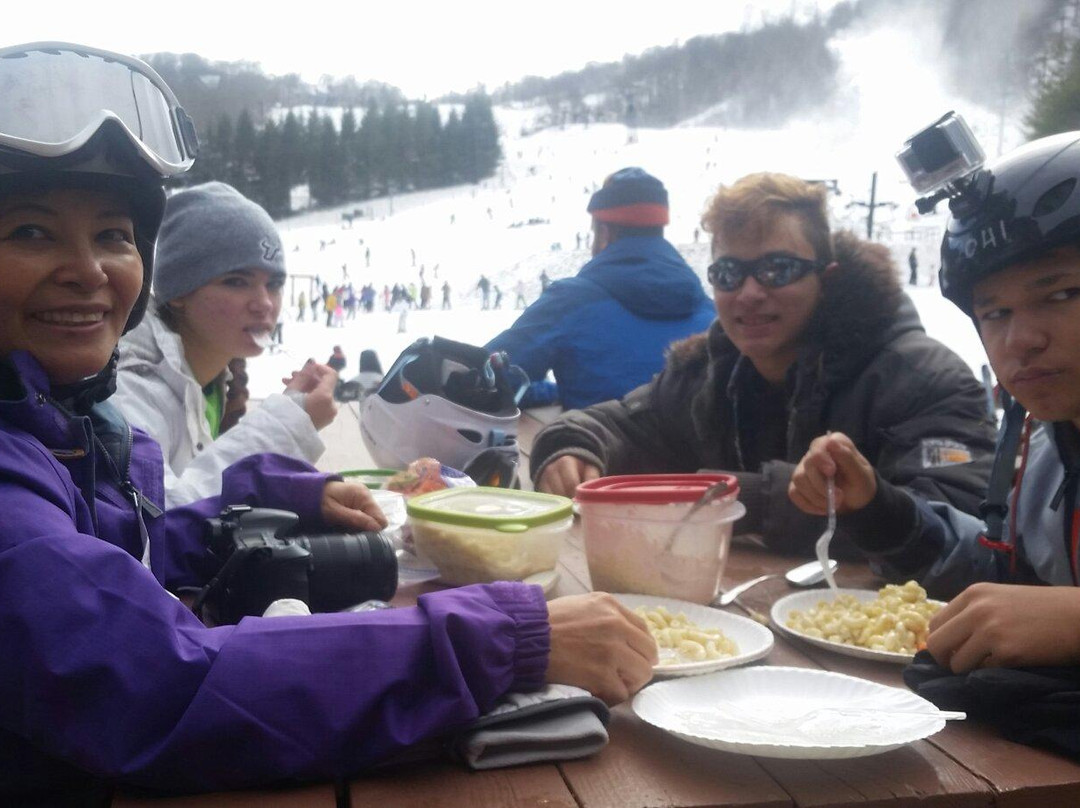 Beech Mountain Resort景点图片