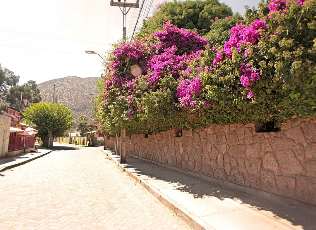 El Molle旅游攻略图片