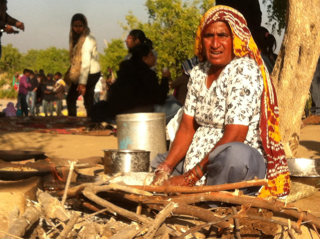 Nalsarovar Bird Sanctuary-Nalsarovar必去景点