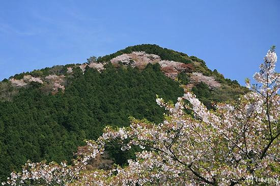 Kozanen-古贺市必去景点