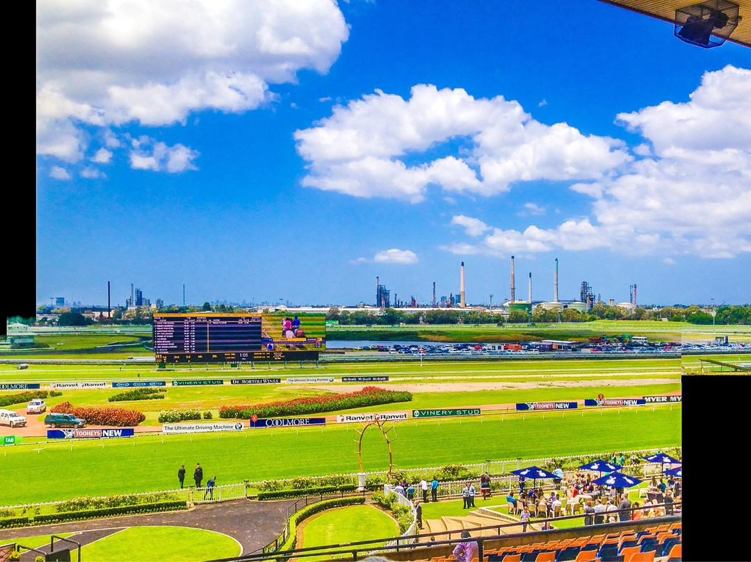 Rosehill Gardens Racecourse景点图片