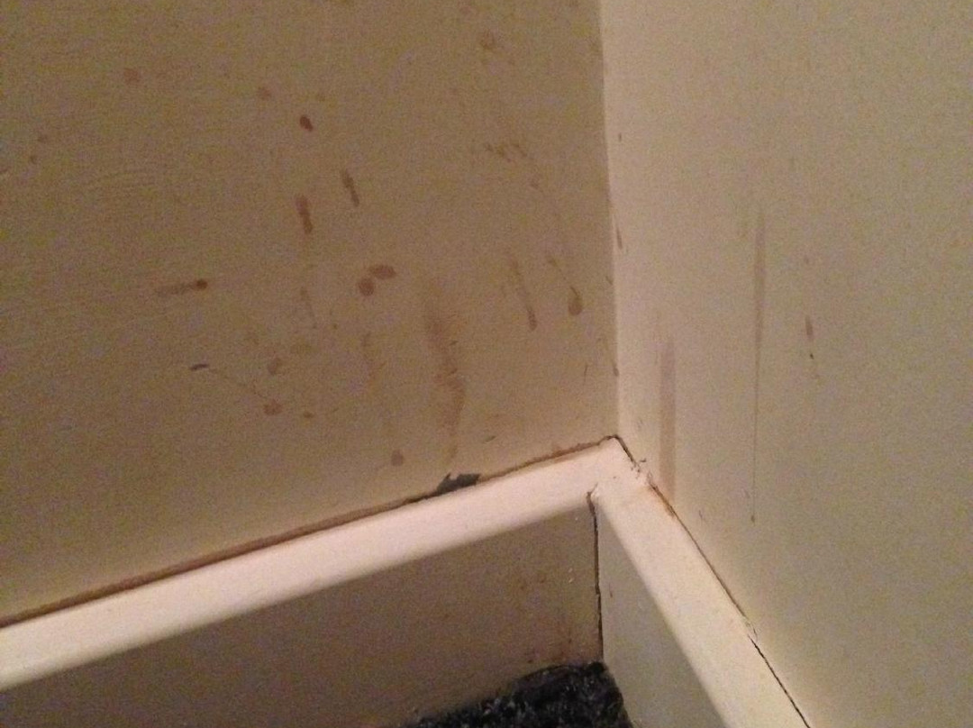 Contractors Guest House主图