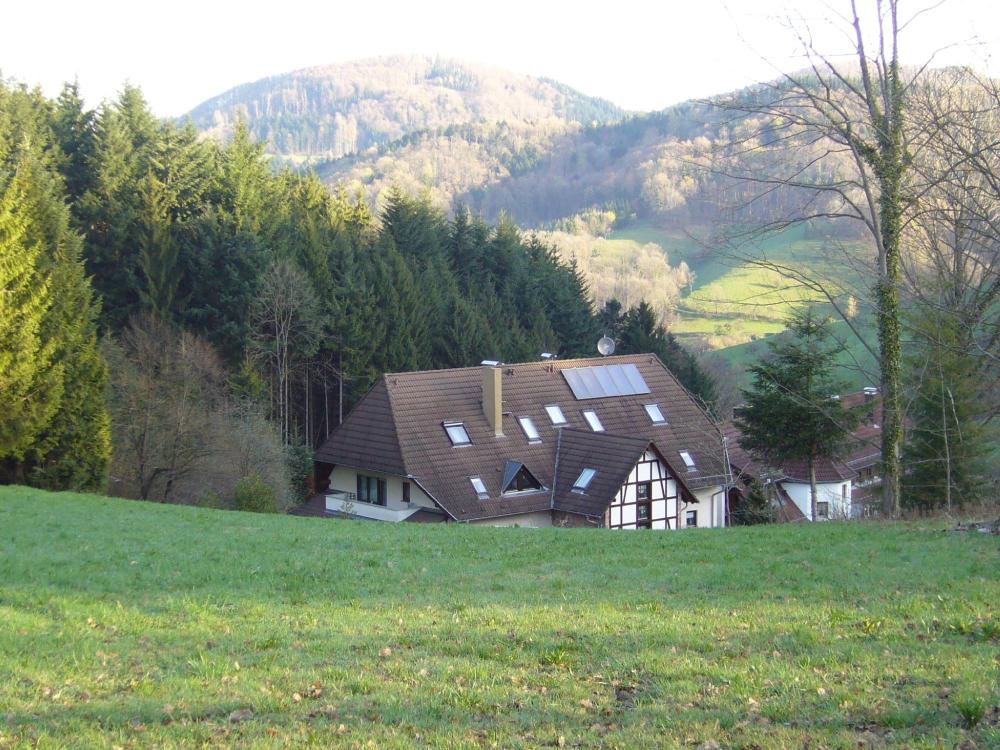 Berggasthof Linde-餐饮