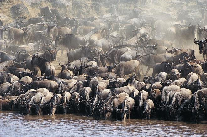 Bayango Tours & Safaris-莫西必去景点