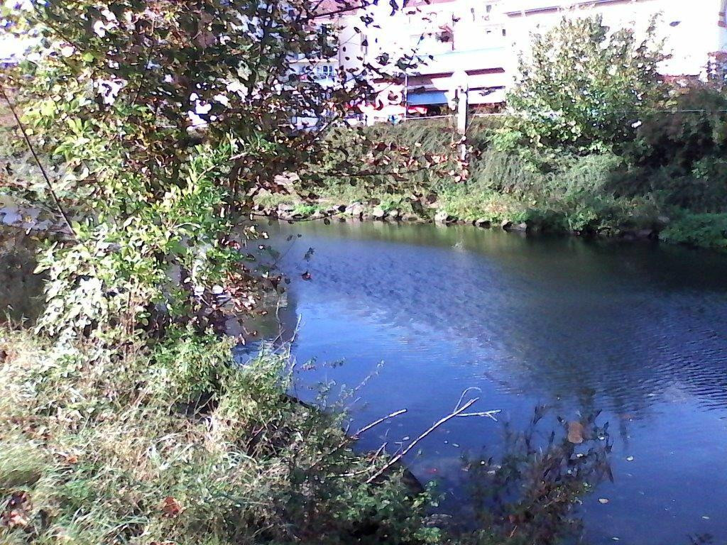 Riverside Park景点图片