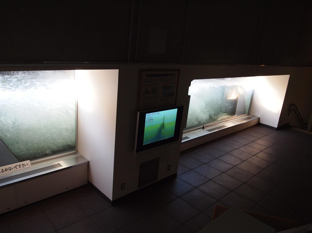 Hokkaido Tokachi Echology Park-音更町必去景点