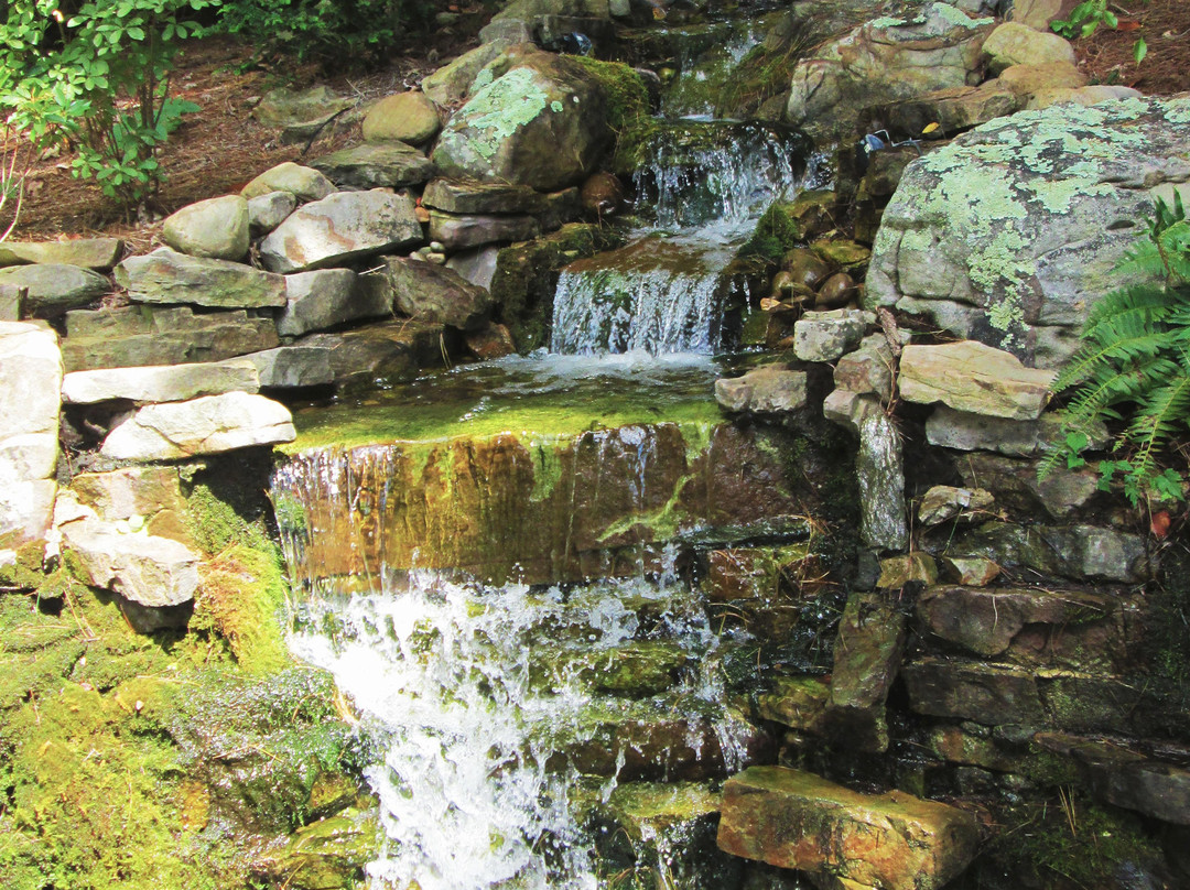 Unicoi Hill Park-海伦必去景点