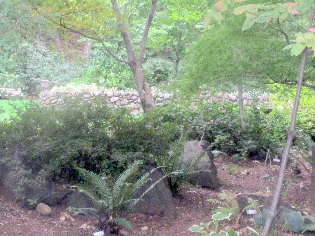Dunsmuir Botanical Gardens景点图片