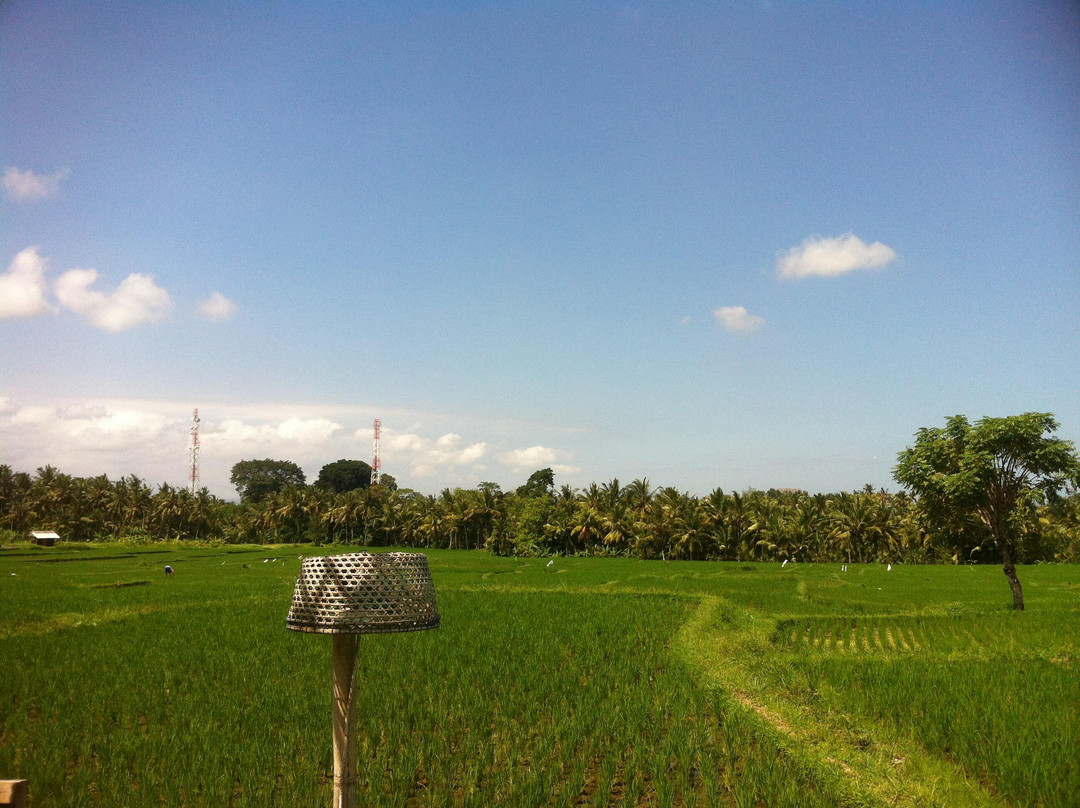 德耶约住宿加早餐酒店主图