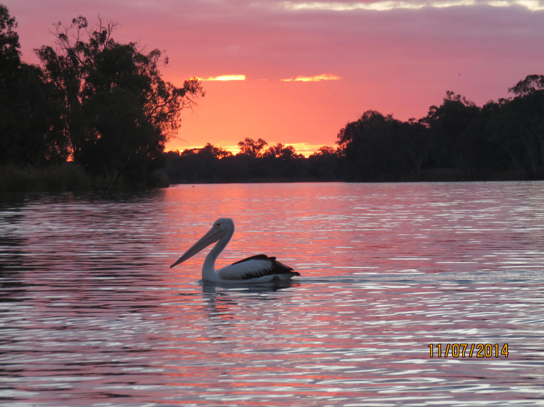 Canoe Adventures - Riverland-Berri必去景点