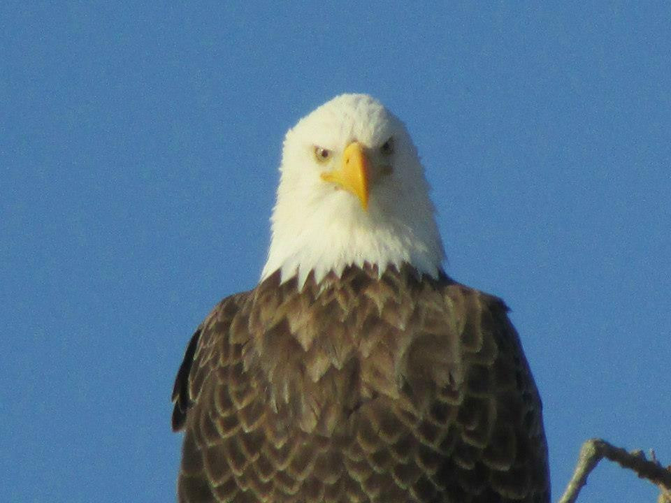 Bridge Observation Deck-Keokuk必去景点