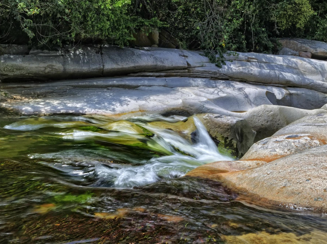 Paseo Vallenato Tour - Day Tours-巴耶杜帕尔必去景点
