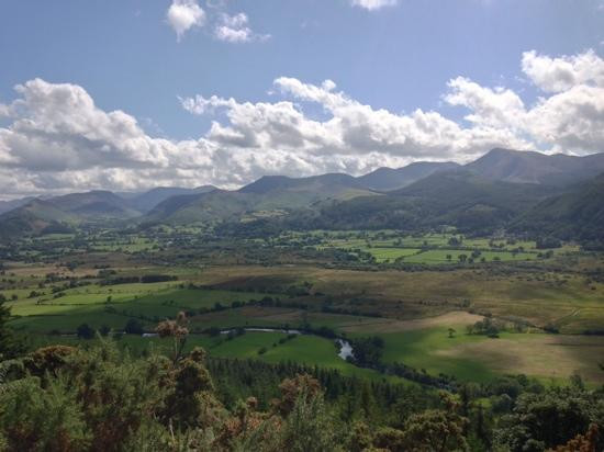 Dodd Wood Ospreywatch景点图片