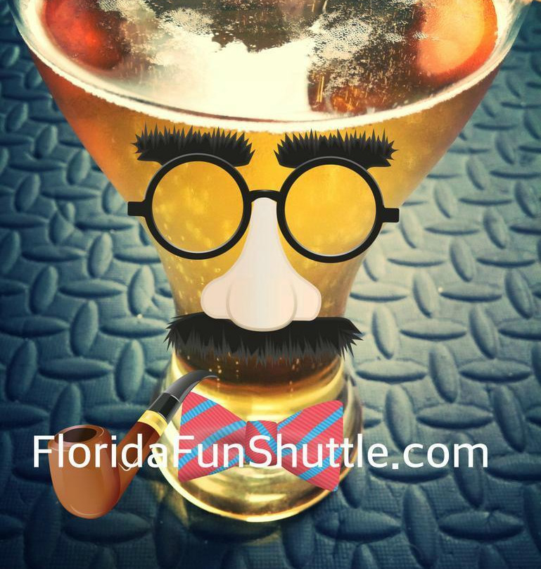 Florida Fun Shuttle - Day Tours-奥兰多必去景点