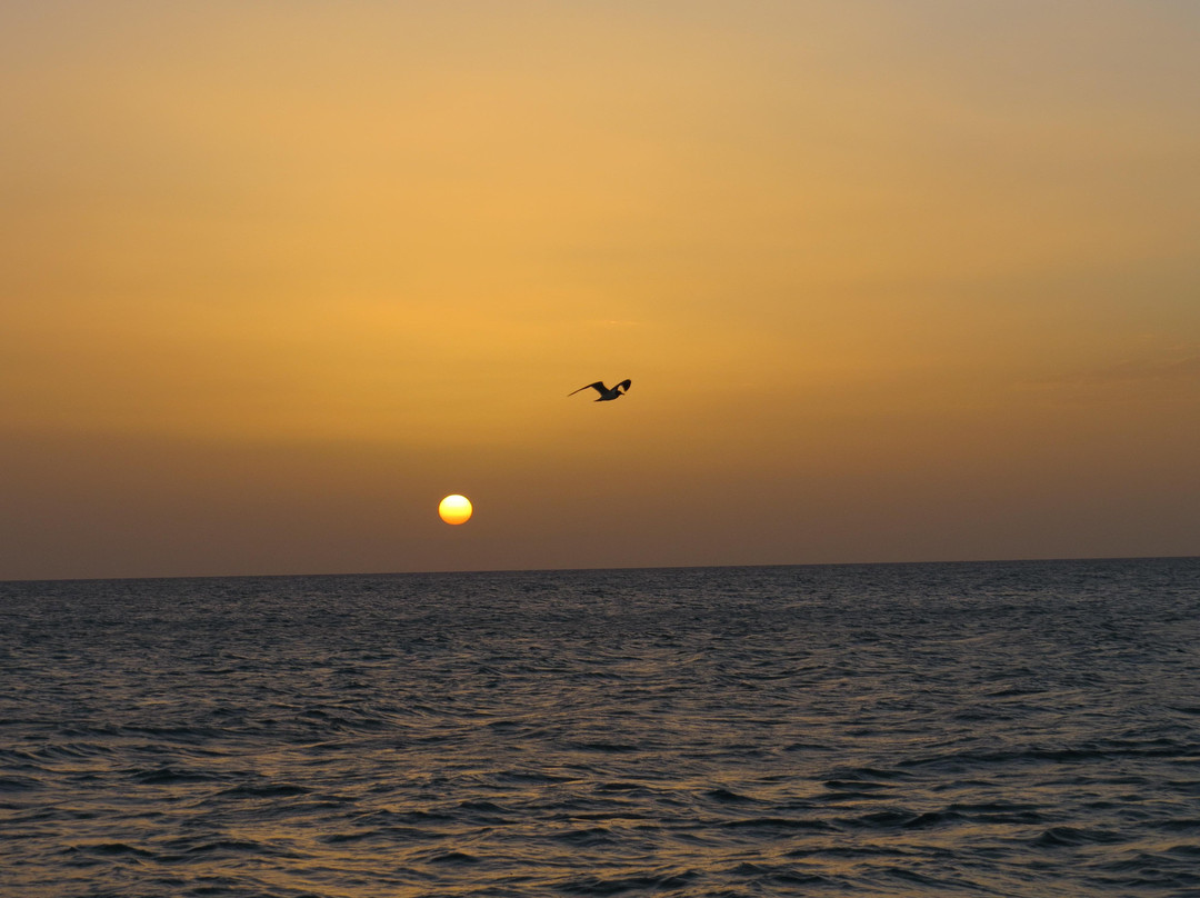 Sail Beluga-普罗维登西亚莱斯必去景点