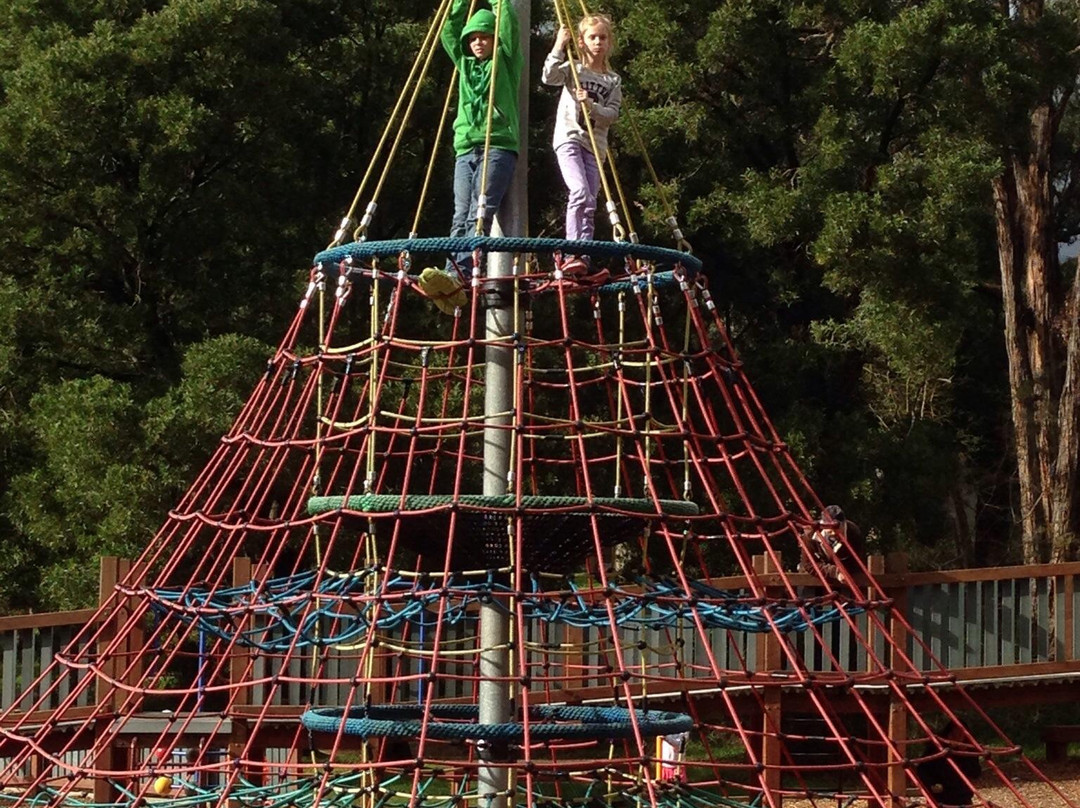 Montrose Community Playground and Recreation Reserve-Montrose必去景点